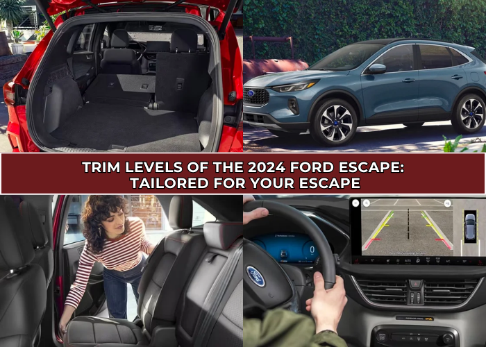 Trim Levels of the 2024 Ford Escape: Tailored for Your Escape
